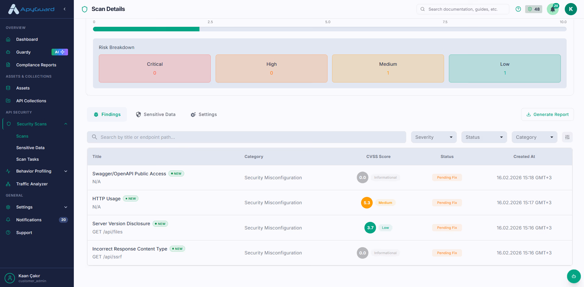 ApyGuard vulnerability findings grouped by endpoint and severity